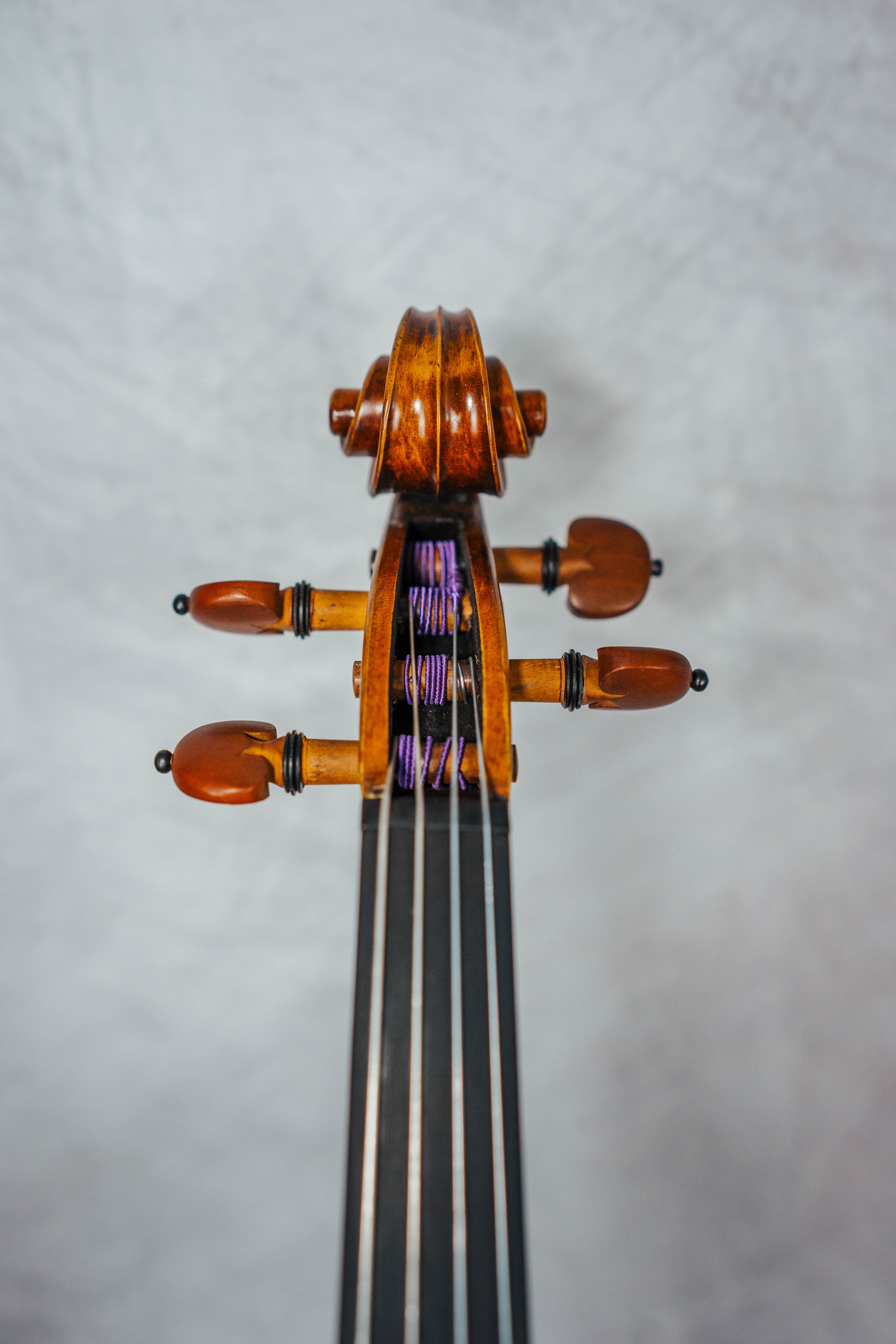 Stradivari 1721 15 1/2