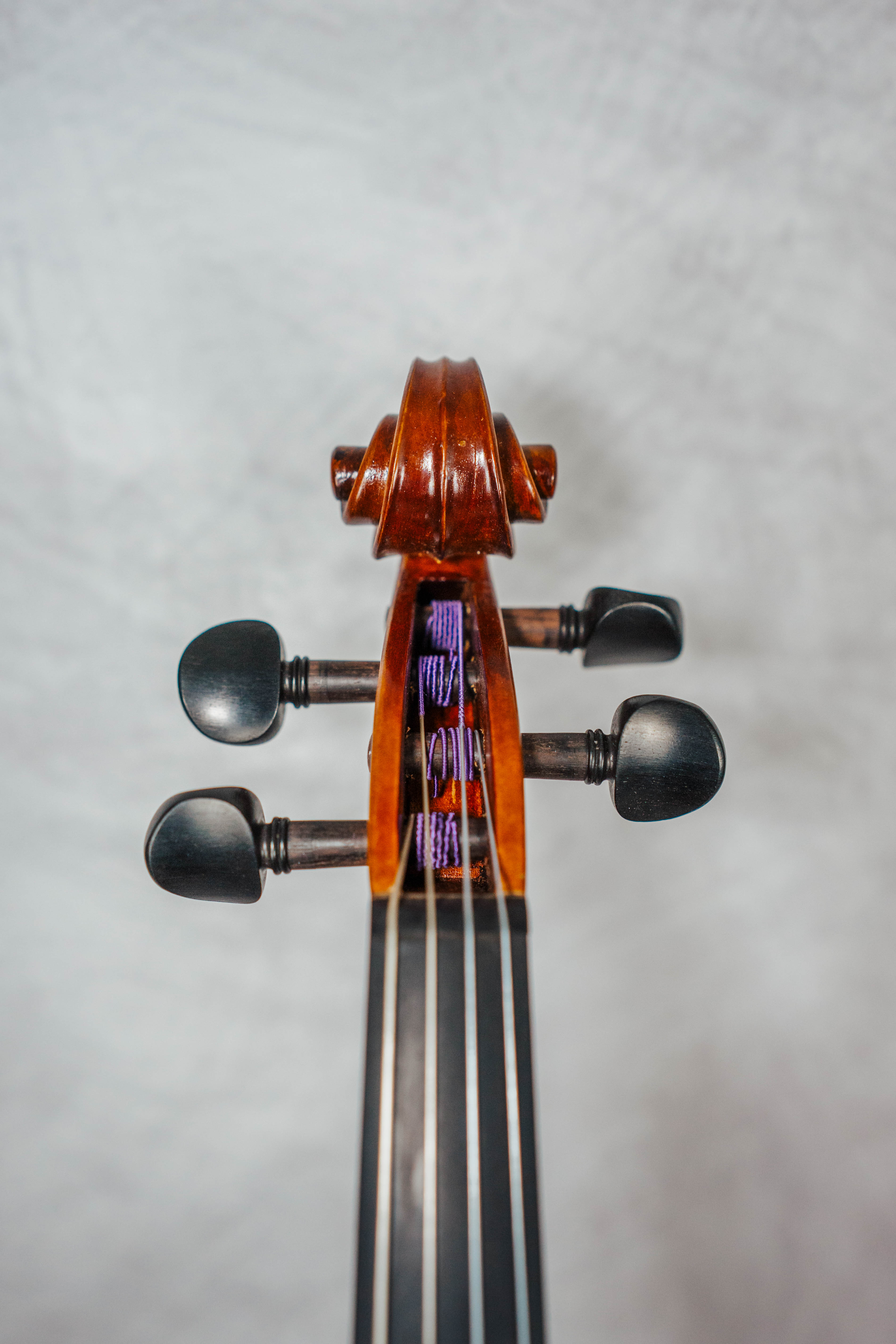 Stradivari 15 1/2"