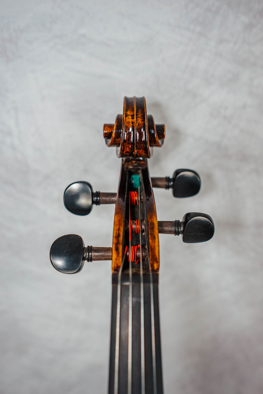Giavonni Paolo Maggini 16 1/4"