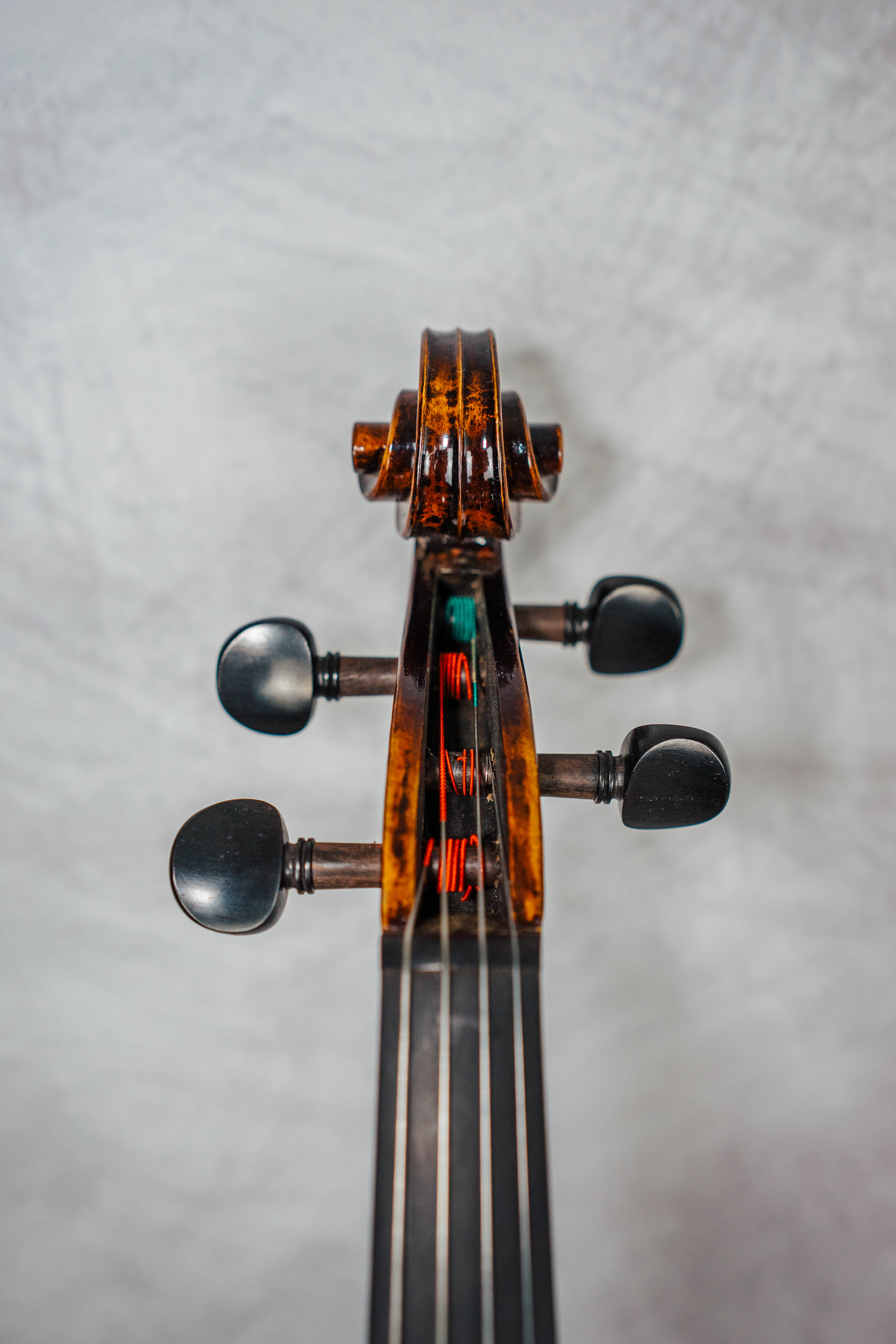 Giavonni Paolo Maggini 16 1/4"