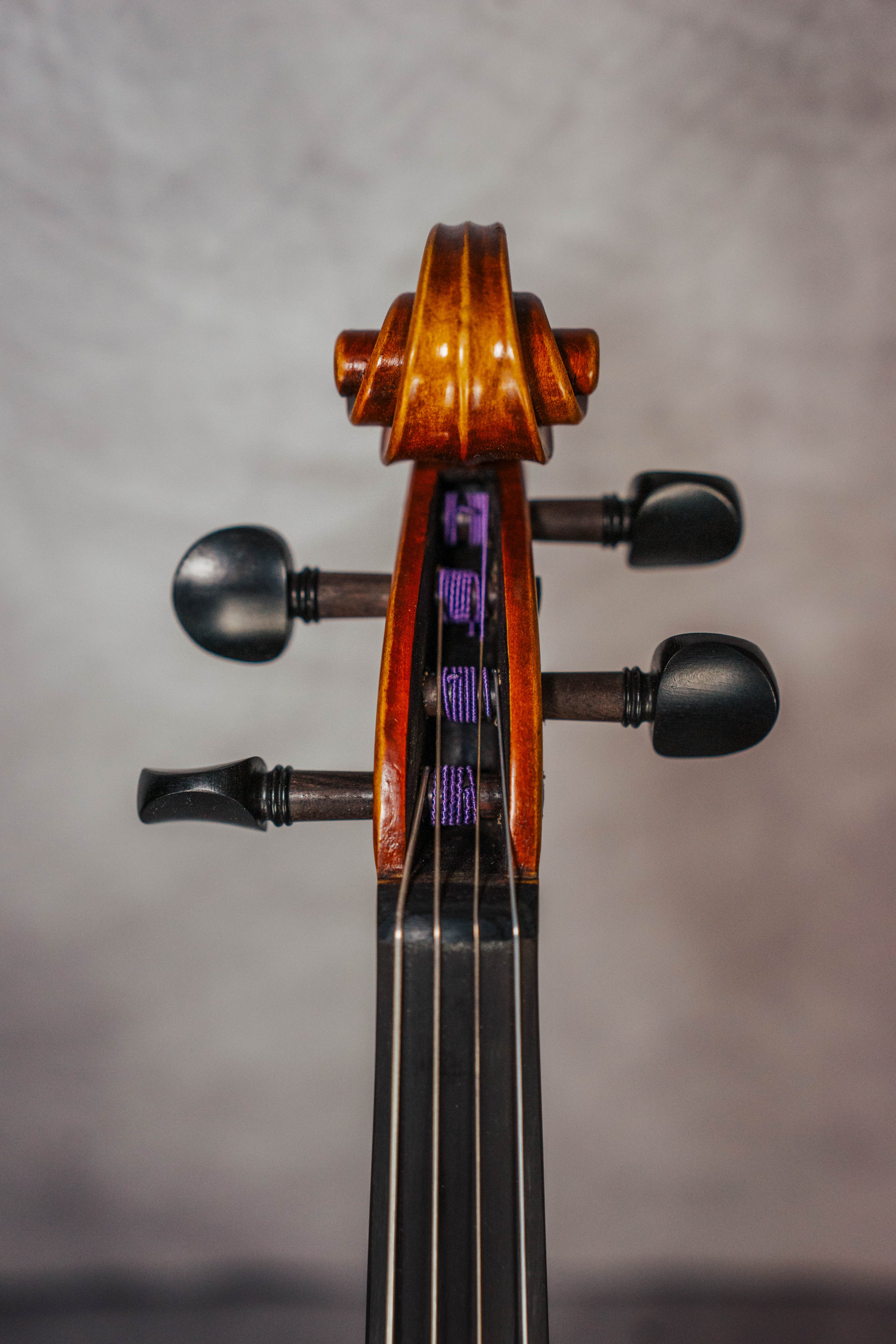 Stradivari 15 1/2"