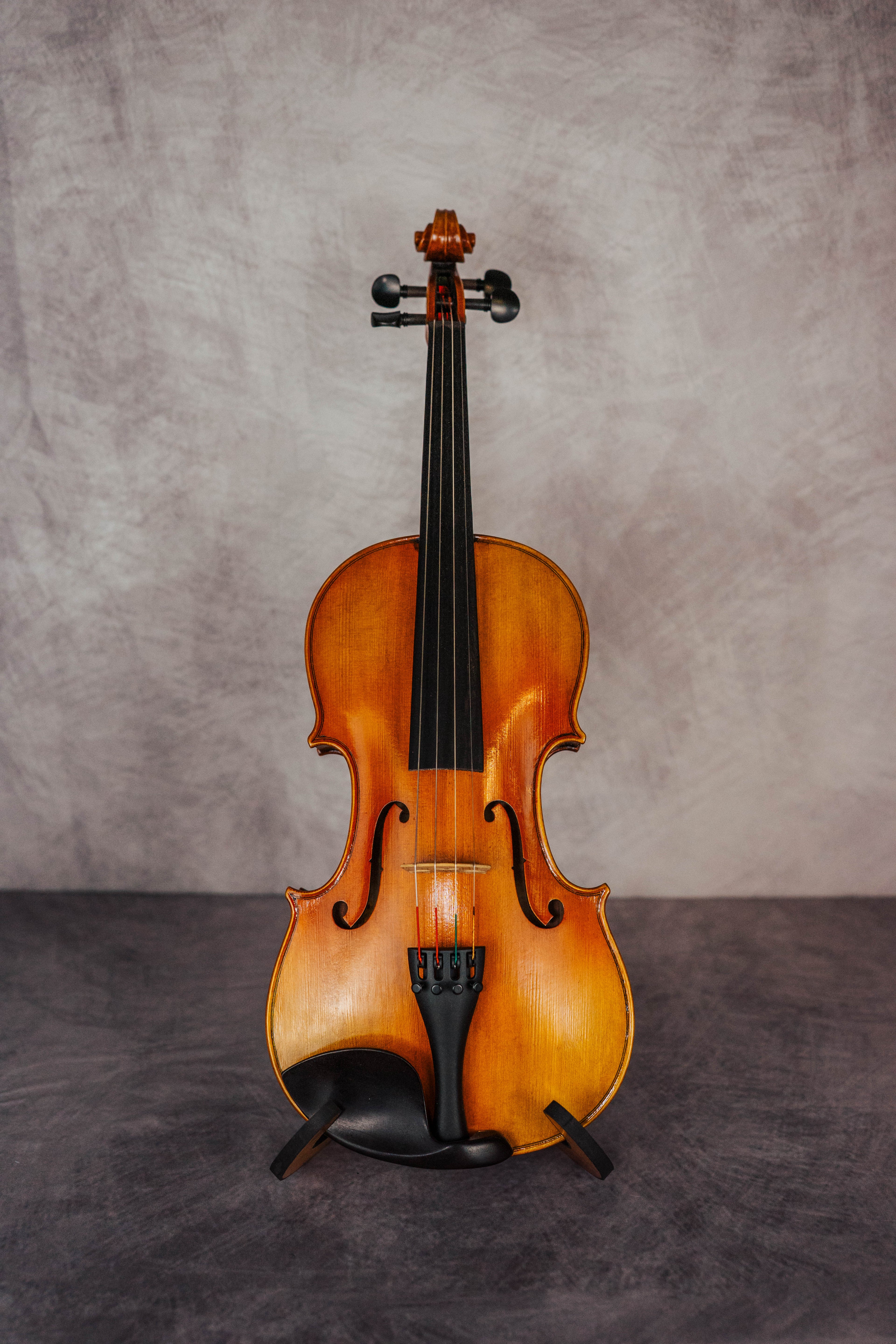 Stradivari 15 1/2"