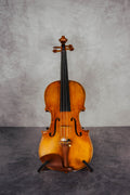 Stradivari 1714 Do