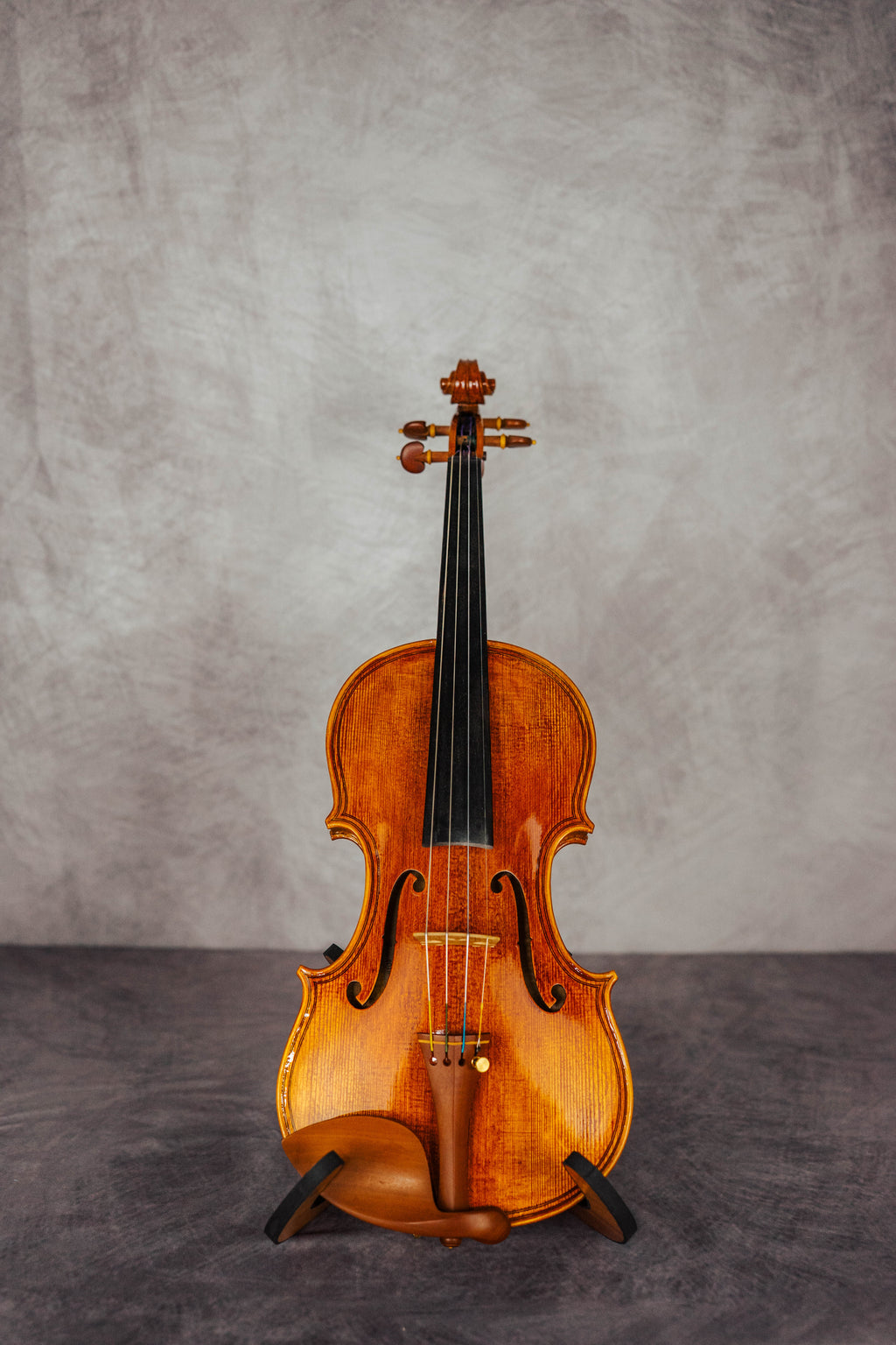 Maggini 1620
