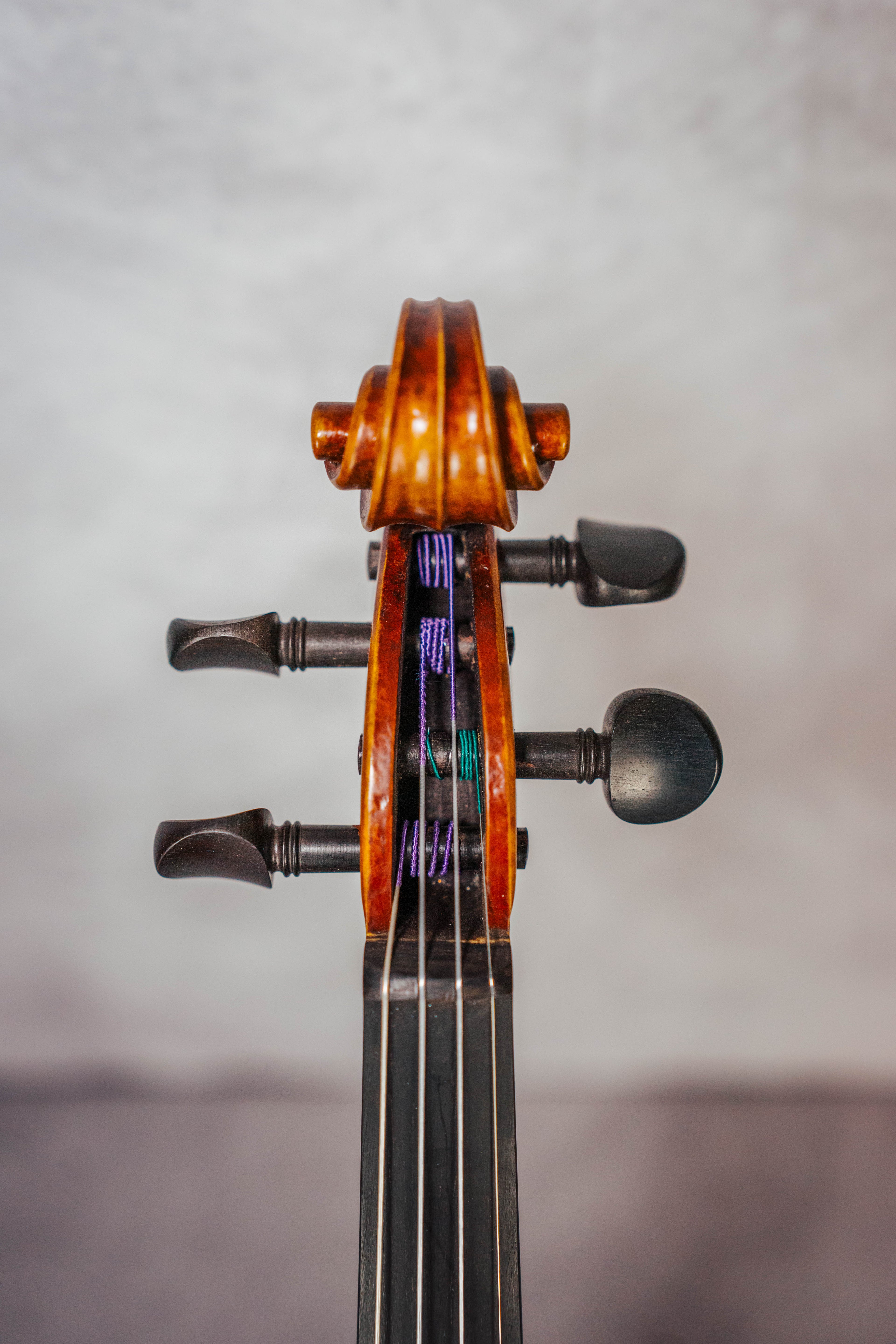 Stradivari 1709 Vi