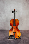 Stradivari 1709 Vi